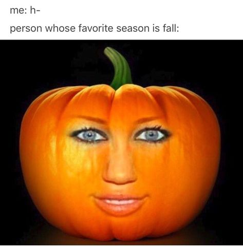 Floptok Humor, Pumpkin Meme, Rpdr Funny, Flop Era, Disgusted Face, Laugh Track, Pin Up Outfits, Snapchat Funny, Silly Faces