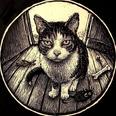 Decora Art, Black In White, Black And White Drawings, Cat Heaven, Round Wall Art, Cat Portrait, Arte Sketchbook, Arte Inspo, Cat Posters