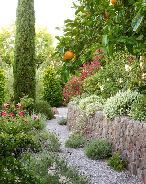 The Mediterranean Garden Is the Sun-Soaked Style You Can Mimic in Any Yard Mediterranean Gardens, Mediterranean Garden Design, Mediterranean Landscape, Succulent Landscape Design, Spanish Garden, Gardens Ideas, Succulent Landscaping, Mediterranean Plants, Mediterranean Landscaping