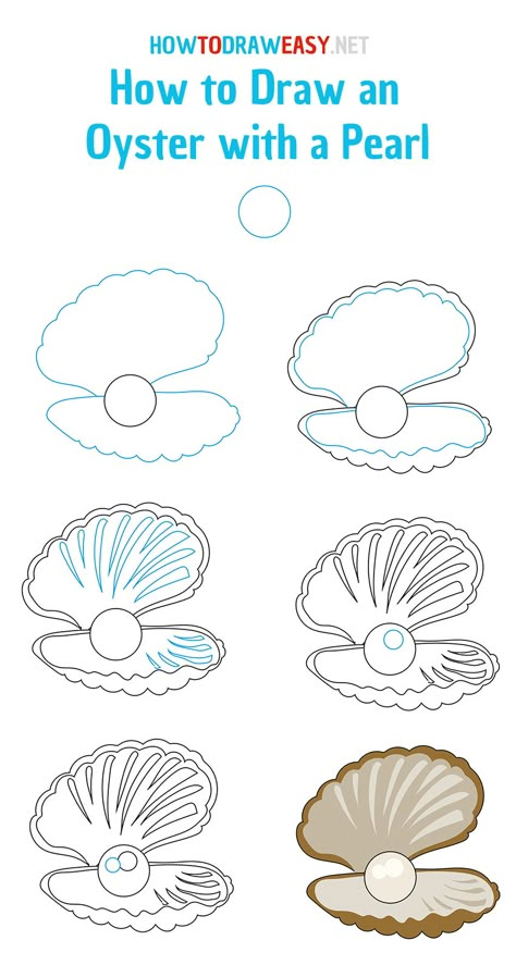 How to Draw an Oyster with a Pearl - How to Draw Easy Clam Drawing, Sea Shell With Pearl, Pearl Drawing, Seashell Drawing, Shell With Pearl, Shell Drawing, Draw Easy, Drawing Tutorials For Beginners, Seashell Painting