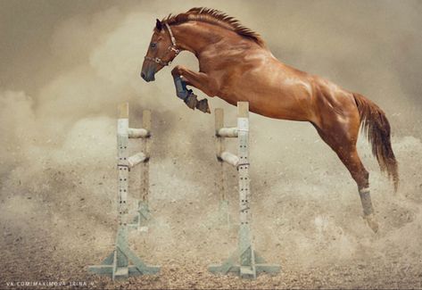 Taking flight: a beautiful chestnut horse takes a jump without a rider. (photo Maksimovairina) Horse Images, Equestrian Helmets, Equestrian Helmet, Free Horses, Types Of Horses, Horse Grooming, Chestnut Horse, Horse Blankets, Horse Wall