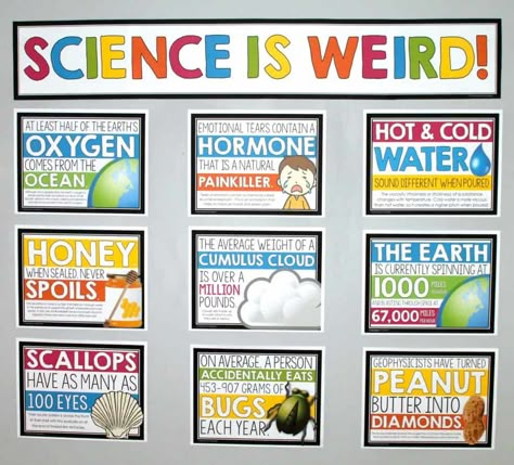 My Favorite Back to School Middle School Science Activities | Kesler Science Back To School Middle School, High School Science Classroom, Middle School Bulletin Boards, Science Display, Science Bulletin Boards, Middle School Science Activities, Middle School Science Classroom, Bullentin Boards, Science Room