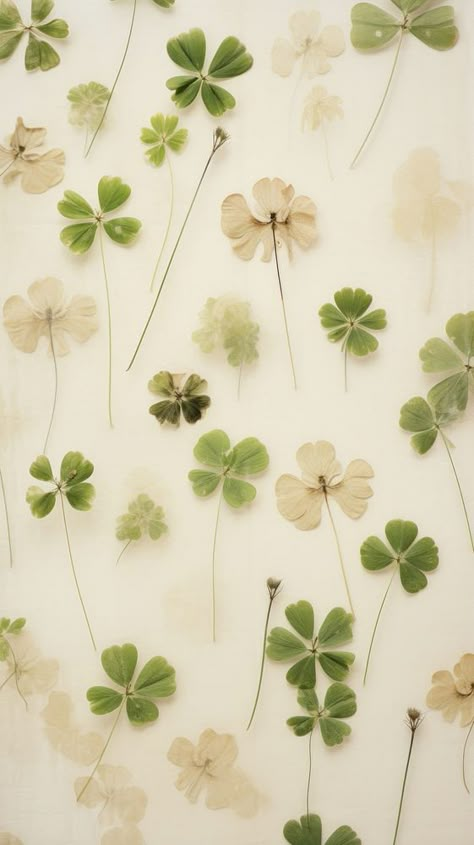 Queen Of Tears Four Leaf Clover, Four Leaf Clover Wallpaper Aesthetic, Leave Wallpapers, Clover Aesthetic Wallpaper, Clover Leaf Wallpaper, Clover Wallpaper Aesthetic, Lucky Clover Wallpaper, Clover Wallpaper Iphone, Four Leaf Clover Aesthetic