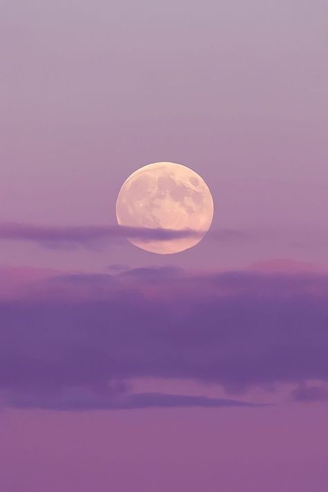 Light Purple Wallpaper, Purple Moon, Purple Flowers Wallpaper, Purple Wallpaper Iphone, Cute Pastel Wallpaper, Pretty Landscapes, Purple Sky, Sunset Wallpaper, Pretty Sky