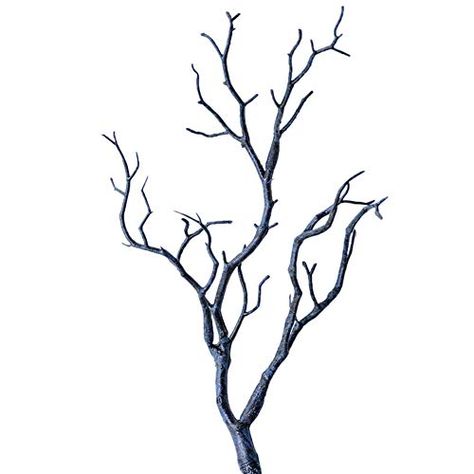 Ribcage Art, Dried Tree Branches, Diy Garden Party, Artificial Tree Branches, Hunting Decal, Dry Tree, Branches Diy, Artificial Branches, Dry Branch