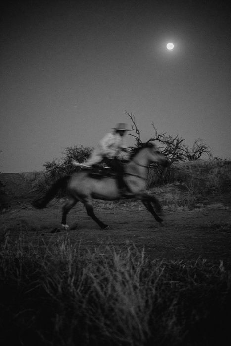 Dark Western, Gothic Western, Cowboy Photography, Western Gothic, Western Photography, Cowboy Like Me, Cowboy Aesthetic, Into The West, Cowboy Baby