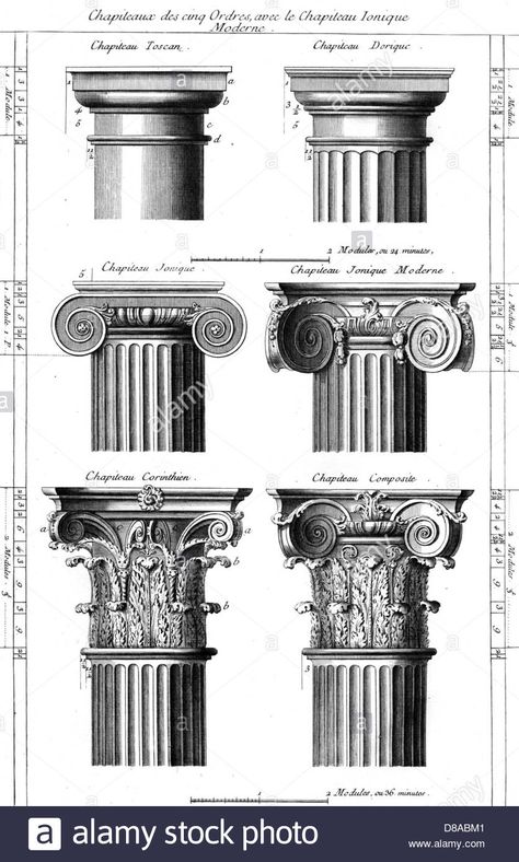 Ancient Greek Columns, History Sketches, Corinthian Order, Columns Decor, Corinthian Columns, Greek Columns, Architecture Drawing Plan, Corinthian Column, Copper Engraving