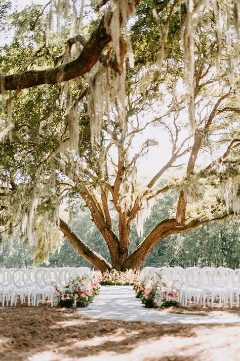 Lowcountry Luxury Weddings at Hewitt Oaks | Southern Wedding Venue in Bluffton, SC - Savannah, Charleston Wedding Venue Willow Tree, Wedding Venues Cliff, Beaufort Sc Wedding Venues, Cute Wedding Venues Outside, Wedding Venue Charleston Sc, Southern Charm Wedding Decorations, Wedding Venues In Southern California, Beaufort Inn Sc Wedding, Seaside Fl Wedding