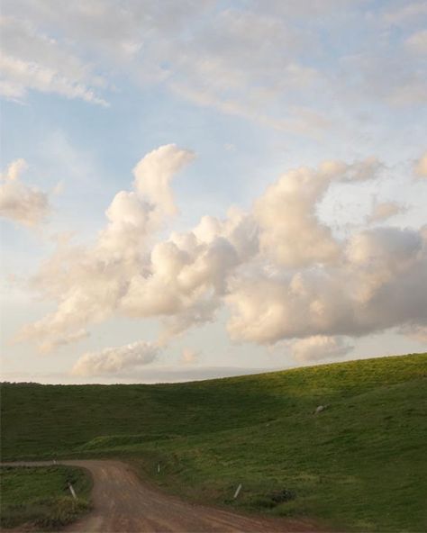 Landscape Photography Countryside Dreamy Clouds Naure the | Etsy India Dreamy Clouds, Color Photography, Landscape Photography, Blue Sky, Sheep, Lush, Australia, Road, Green