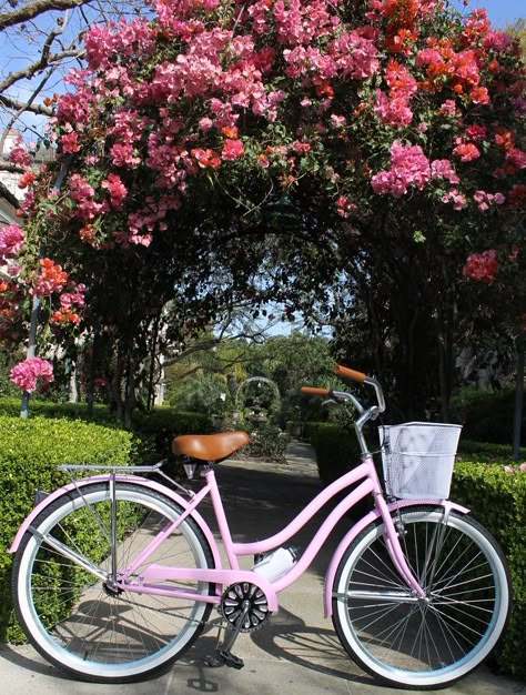 Pink Bycicle Vintage Bicycles, Bicycle For Women, Cute Bikes For Women, Pink Bicycle Aesthetic, Pink Beach Cruiser, Beach Cruiser Bikes Women, Cute Bikes, Bicycle Aesthetic, Spring Bike