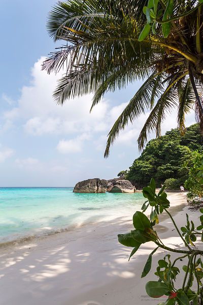 Similan Islands Thailand, Thailand Beach Aesthetic, Phuket Thailand Aesthetic, Thailand Travel Aesthetic, Islands Thailand, Thailand Guide, Thailand Travel Destinations, Thailand Beach, Food Tourism