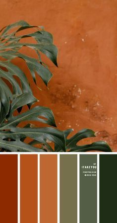 Green and Terracotta Colour Combination | Color Scheme | itakeyou.co.uk Autumn Colors Living Room, Earthy Colorful Living Room, Green Room Color Palette, Morocco Color Palette, Palette Couleur Terracotta, Earthy Home Color Palette, Railway Wallpaper, Southwest Color Palette, Coloring Palette