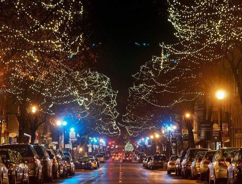 6 Things to do in Frederick Maryland During the Christmas Season! Chincoteague Island, Best Christmas Lights, Frederick Maryland, Fredericksburg Va, Free State, Deep Roots, Mormon Temple, Frederick Md, Happy Things