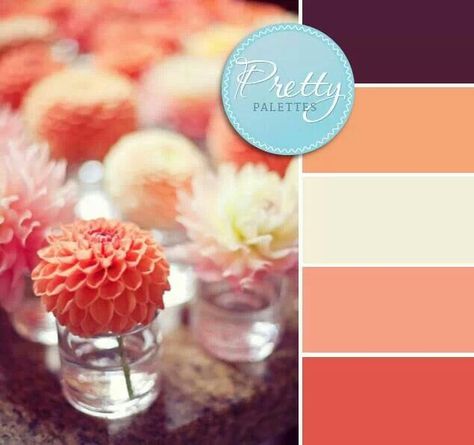 Coral and Plum Purple Coral Wedding, Plum Wedding Colors, Date Cafe, Wedding In October, Fall Wedding Color Schemes, Is It Too Late, Best Wedding Colors, Fall Tones, Purple Coral