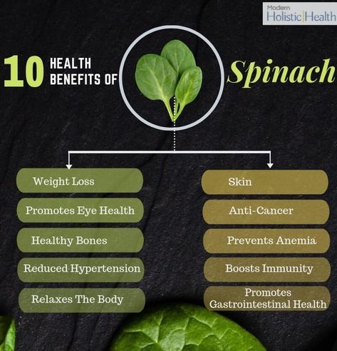 10 Health Benefits of Spinach   | Modern Holistic Health Spinach Benefits Health, Health Benefits Of Spinach, Benefits Of Spinach, Green Leafy Vegetables, Spinach Benefits, Raw Spinach, Health Workout, Workout Diet, Leafy Vegetables