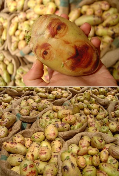 potatos + human faces = Las Papas Installation from Ginou Choueiri Potatoe On Face, Potato For Face, Apple Faces Dried, Potato Face, Human Faces, Potato Heads, Human Face, Artichoke, Brussel Sprout