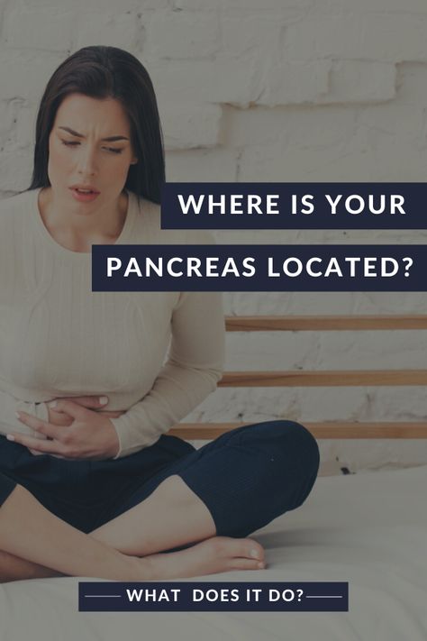 Where is your Pancreas? Pancreas Pain Relief, Pancreas Symptoms, Pancreas Cleanse, Pancreas Anatomy, Pancreatic Diet, Pancreatic Diet Recipes, Pancreas Health, Fruit For Diabetics, Referred Pain