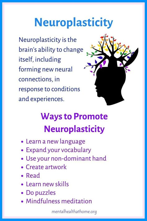 Neuroplasticity: what it is and ways to promote it Neuroplasticity Exercises, Nervus Vagus, Brain Based Learning, Neural Connections, Psychology Notes, Brain Facts, Mental Health Facts, Psychology Student, Brain Science