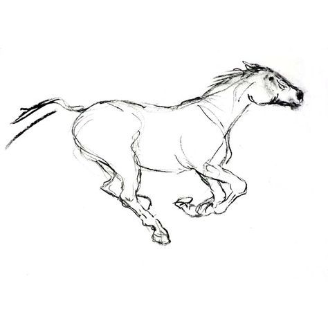 Running Animal Drawing, Horse Running Sketch, Horse Body Sketch, Minimalist Horse Drawing, Running Horses Drawing, Running Horse Tattoo Design, Galloping Horse Drawing, Horse Running Silhouette, Horse Tattoo Design Sketches