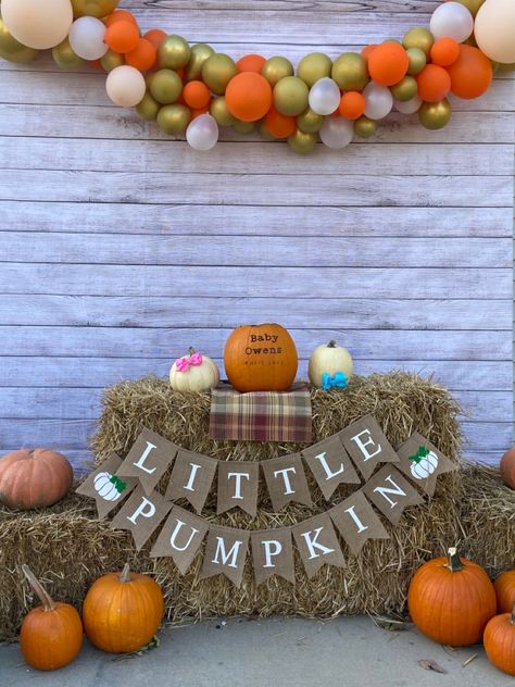 Fall Inspired Gender Reveal, Cute Fall Gender Reveal Ideas, Pumpkin Gender Reveal Ideas For Party, Boho Fall Gender Reveal, Gender Reveal Ideas For Party Theme November, Photoshoot Gender Reveal Ideas, Simple Fall Gender Reveal Ideas, What Will Pumpkin Be Gender Reveal, Gender Reveal Ideas For Party Fall