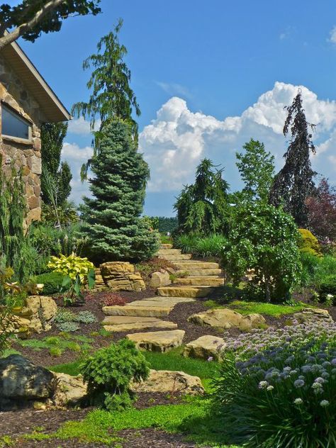 Weeping Evergreen, Small Garden Borders, Mountain Landscaping, Landscaping Steps, Garden Edging Stones, Cabin Landscape, Rustic Landscaping, Hgtv Garden, Yard Inspiration