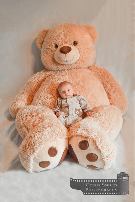 Baby Photoshoot With Teddy Bear, Teddy Bear Baby Photoshoot, Teddy Bear Photoshoot Ideas, Teddy Bear Photoshoot, Baby Boy Newborn Photography, Baby Milestones Pictures, Monthly Baby Pictures, Teddy Bear Images, Giant Teddy Bear