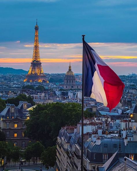 France Study, France Aesthetic, Paris France Travel, France Flag, Paris Place, Beautiful Paris, Academic Excellence, France Photography, Exotic Animals