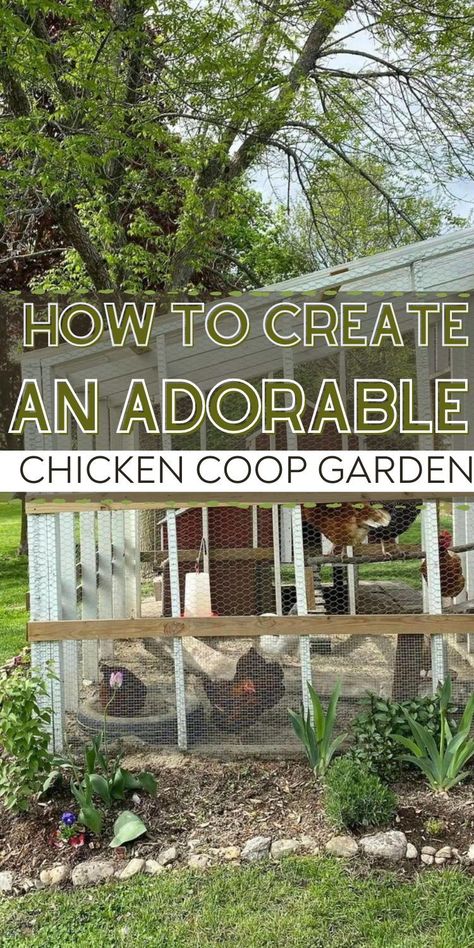 Free Range Chicken Coop Ideas Yards, Chicken Run Around Garden Ideas, Chickens In Backyard, Best Diy Chicken Coop, Garden With Chicken Coop And Greenhouse, Path To Chicken Coop, Landscaping Chicken Coop Ideas, Organizing Chicken Coop Supplies, Chicken Coop Vegetable Garden