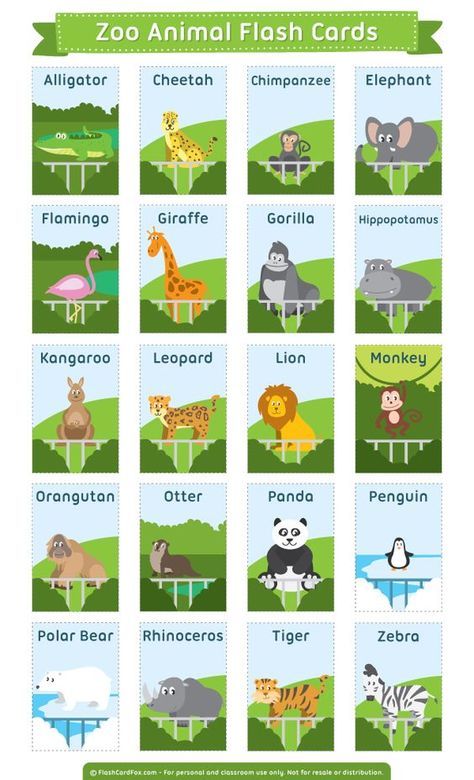 Free printable zoo animal flash cards. Download them in PDF format at http://flashcardfox.com/download/zoo-animal-flash-cards/ Animal Flash Cards, Materi Bahasa Jepang, Animal Flashcards, Excel Tips, Learning English For Kids, Flashcards For Kids, Kids English, Printable Flash Cards, English Lessons For Kids