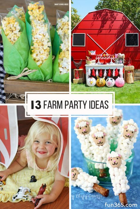 Barn Birthday Party, Farm Party Ideas, Barnyard Bash, Farm Animals Birthday, Farm Themed Party, Barnyard Birthday Party, Animals Birthday Party, Farm Theme Birthday, Farm Animal Party