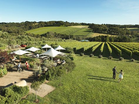 Australia's best wine regions Olive Grove, Travel Tops, Red Hill, Weekend Escape, Yarra Valley, Mornington Peninsula, Victoria Park, Sculpture Park, Seaside Towns