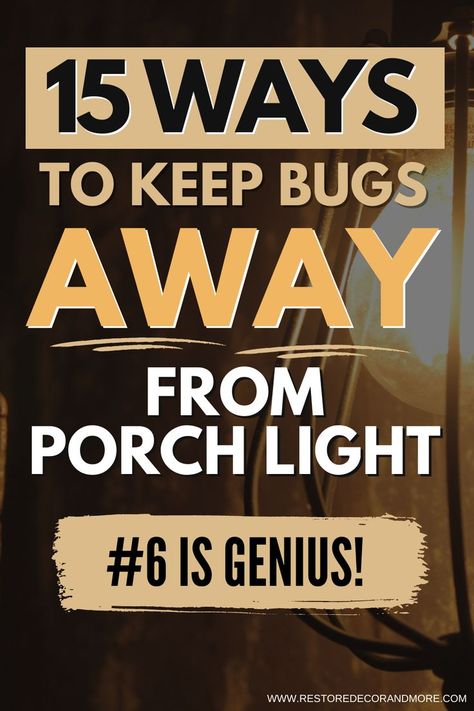 How To Keep Bugs Off Porch, Diy Porch Lighting Ideas, Lights On Porch Ideas, Bug Zapper Hanging Ideas, Diy Bug Repellent Spray, Front Porch Lighting Fixtures, Outdoor Bug Repellent, Outside Light Fixtures, Outside Lighting Ideas