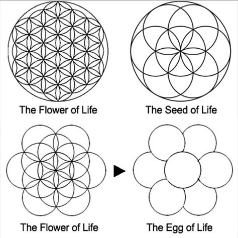 The flower of life symbol is a geometrical mathematical pa… | Flickr Flower Of Life Meaning, Sacred Geometry Universe, Nature Sacred Geometry, Egg Of Life, Sacred Geometry Flower Of Life, Flower Of Life Tattoo, Flower Of Life Symbol, Tattoos Mandala, Geometric Nature