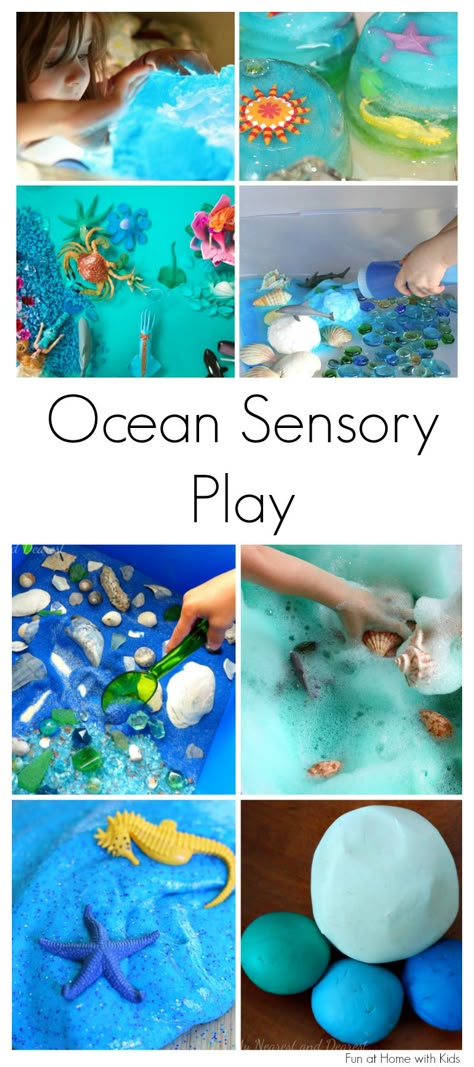 15 of the best ideas for Ocean-themed Sensory Play.  Includes ideas for babies, toddlers, and older children.  From Fun at Home with Kids Sea Sensory Play, Ocean Sensory Activities, Ocean Sensory Play, Ocean Sensory Bin, Ocean Sensory, Preschool Ocean, Sensory Tubs, Preschool Sensory, Sensory Bags