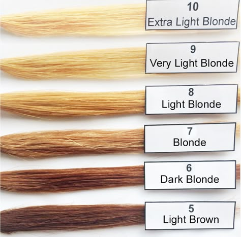 Hair Coloring Levels...Make sure you lift all the way up to level 9 if you want to get to a true ash blonde! Bleach Levels Hair Color, Hair Levels 1-10 Chart Bleach, Hair Lift Levels, Level 8 Blonde Hair, Undertone Hair, Bleached Hair Ideas, Blonde Hair Levels, Level 8 Blonde, Levels Of Hair Color