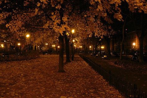 Leaves On The Ground, Dark Autumn, Autumn Lights, Street Lights, Autumn Night, Season Of The Witch, Autumn Scenery, Best Seasons, Autumn Cozy