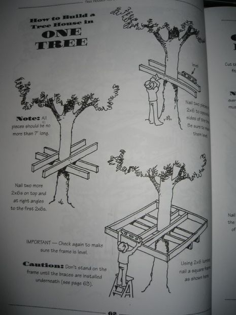 How to plan a tree house Playground Landscaping, Backyard Kids, Building Things, Tree House Plans, Tree Fort, Tree House Diy, Tree House Kids, Simple Tree, Tree House Designs