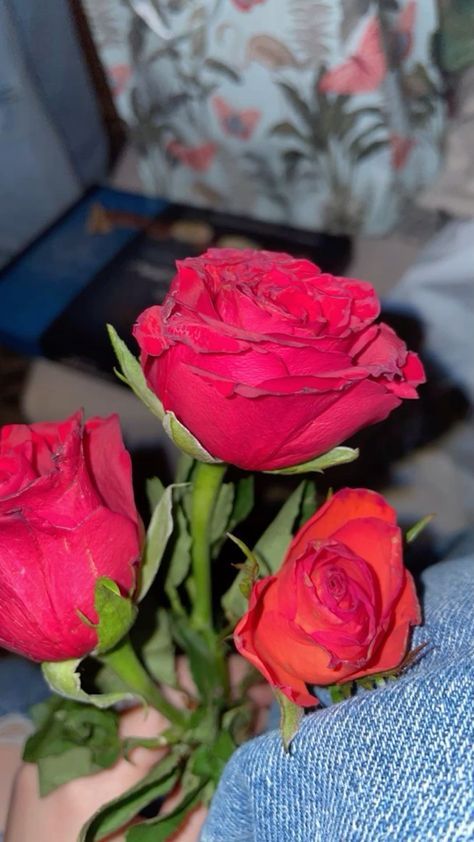 Rose Flower Snapchat Stories, Roses Snapchat Stories, Fake Rose Snap, Fake Flowers Snap, Hide Couple Pic, Rose Snaps Snapchat, Rose In Hand Snapchat, Rose Bouquet Snap, Snap With Flowers