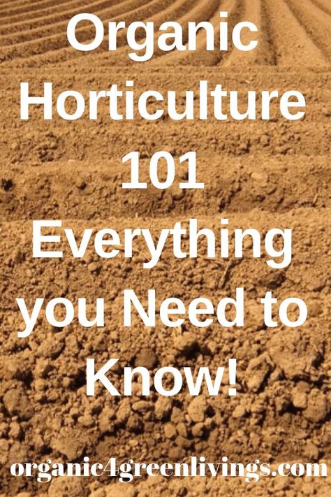 Organic Horticulture 101 - Everything You Need to Know @organicgardening #gardening #gardeningtips #gardeningdiy #organic #horticulture Horticulture Education, Agriculture Books, Hemp Farm, Backyard Gardening Ideas, Tunnel Greenhouse, Love Rules, Beginner Gardening, Organic Vegetable Garden, Organic Tomatoes