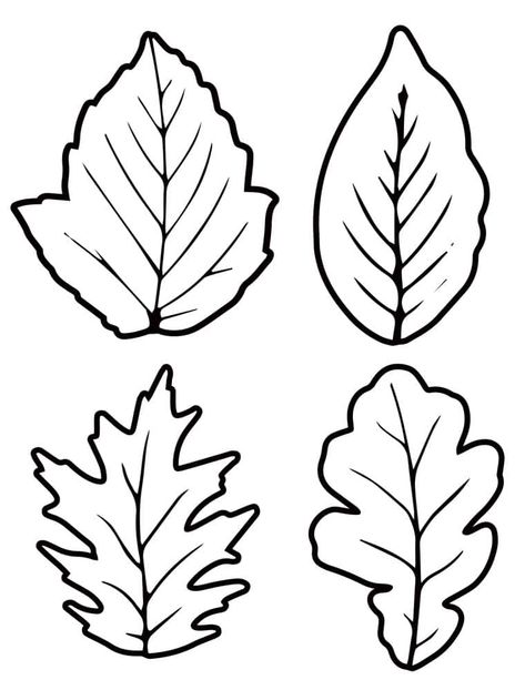 8 Fall Leaf Template Printable Outlines: Different Sizes Free - A Crafty Life Fall Leaf Printable, Small Leaf Template Printable Free, Fall Leaf Printables Free, Leaf Coloring Page Free Printable, Printable Leaves Leaf Template, Leaf Shapes Template, Printable Leaf Template Free, Free Leaf Template Printable, Leaf Template Printable Free Large