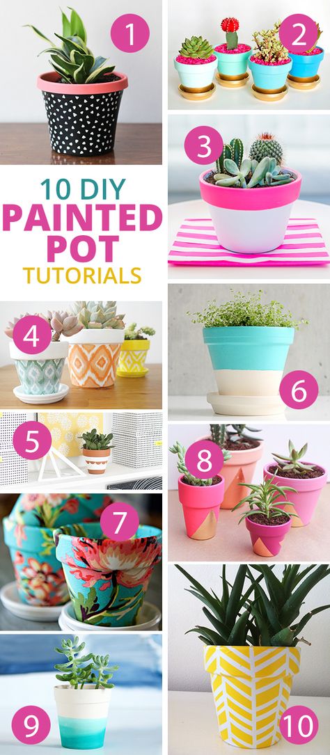 Painting Flower Pots, Garden Diy Decoration Ideas, Painted Pot, Painted Pots Diy, Painted Clay Pots, Cactus Diy, Fleurs Diy, Flower Pot Crafts, Diy Flower Pots