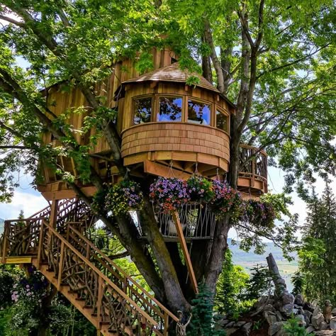 Treehouse Point, Beautiful Tree Houses, Treehouse Masters, Canopy And Stars, Building A Treehouse, Tree House Plans, Tree House Diy, Bird Barn, Cool Tree Houses