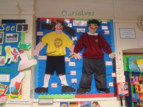 Ourselves Display, classroom display, class display, Ourselves, All About Me, bodies, growth, Early Years (EYFS), KS1 & KS2 Primary Resources All About Me Topic, Science Display, Teaching Displays, Reception Classroom, Eyfs Ideas, Reception Class, People Who Help Us, Class Displays, School Displays