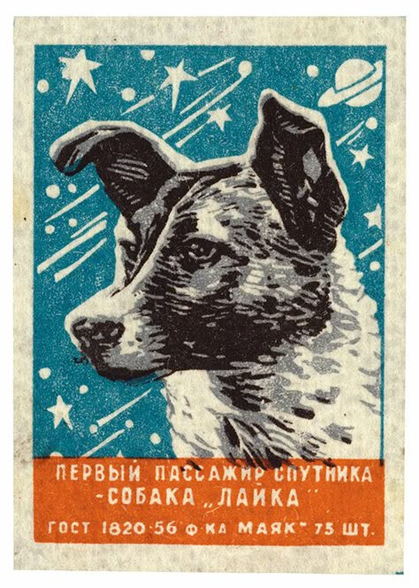 Soviet Space Dogs, Belka And Strelka, Laika Dog, Haunting Stories, Literary Nonfiction, Space Dog, Gray Owl, Dog Books, Space Race