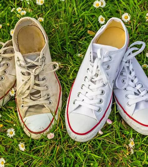 Clean White Converse, How To Clean White Converse, How To Clean White Shoes, White Converse Shoes, Homemade Toilet Cleaner, Cleaning Painted Walls, White Converse, Clean Dishwasher, Toilet Cleaning