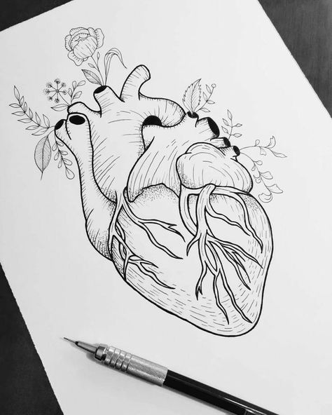 Human Heart, A Drawing, Art Sketches, Drawing Ideas, Art Inspo, A R, To Draw, Art Ideas, Tattoo Ideas