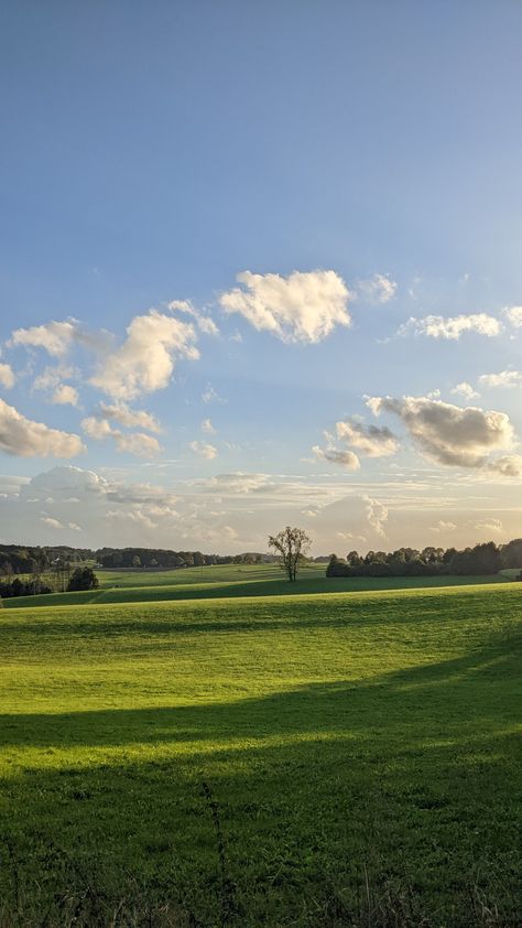 Spring Sky Aesthetic, Peacful Wallpapers Aesthetic, Peaceful Places Aesthetic, Field Wallpaper Aesthetic, Garden Aesthetic Wallpaper, Outdoors Wallpaper, Beautiful Nature Background, Nature Landscape Wallpaper, Sunny Field