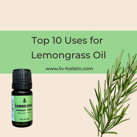 Lemongrass essential oil is derived from the leaves of the lemongrass plant through steam distillation. Lemongrass essential oil has been used for centuries in traditional medicine for its various health benefits. In recent times, it has gained popularity in the field of aromatherapy, primarily due Lemongrass Oil Benefits, Lemongrass Essential Oil Benefits, Lemongrass Essential Oil Uses, Lemongrass Plant, Essential Oils Cleaning, Essential Oils Health, Oils For Dogs, Lemongrass Oil, Steam Distillation