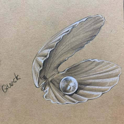 Seashell Drawing, Pearl Tattoo, Shell Drawing, Shell Tattoos, Drawing Doodles, Jewelry Rendering, Gcse Art Sketchbook, Sea Life Art, Flash Tattoo Designs