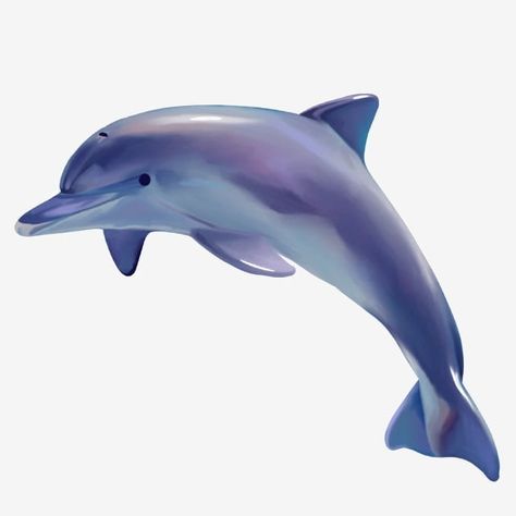 Ikan Png, Ikan Lumba Lumba, Dolphin Icon, Superhero Illustration, Ocean Png, Blue Fireworks, Blue Dolphin, Dolphin Art, Summer Icon